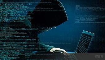 黑客爆料视频大全网站,黑客爆料视频大全网站内幕大曝光